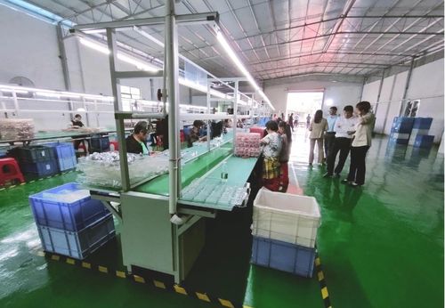 砥礪奮進啟新程，鄉村振興謀新篇——浛洸鎮張陂村玩具加工廠隆重開業